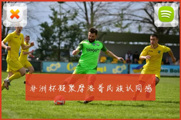 非洲杯凝聚摩洛哥民族认同感