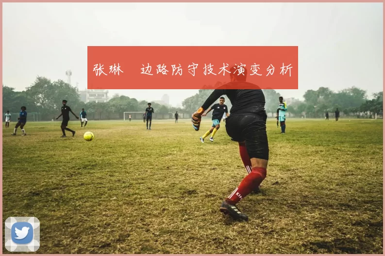 张琳芃边路防守技术演变分析