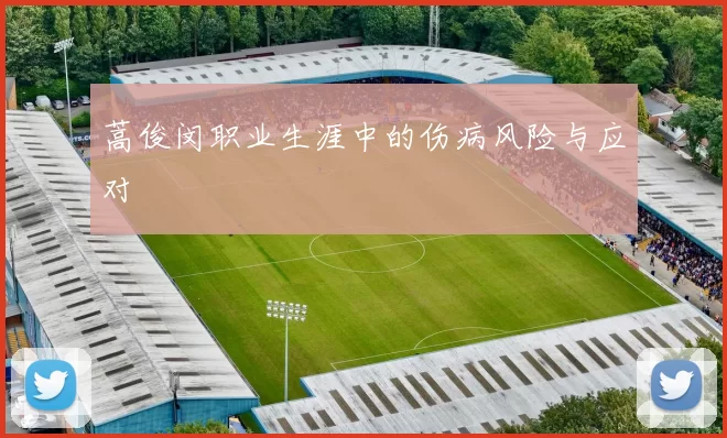 蒿俊闵职业生涯中的伤病风险与应对
