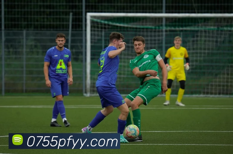 未来规划